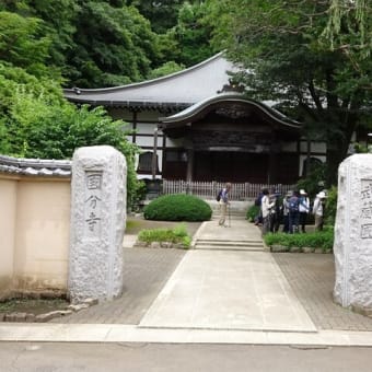 前日梅雨入り発表　国分寺お鷹の道～殿ヶ谷戸庭園へ