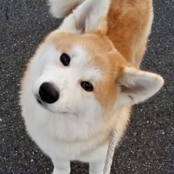 今年もお世話になりましたm(_ _)m
