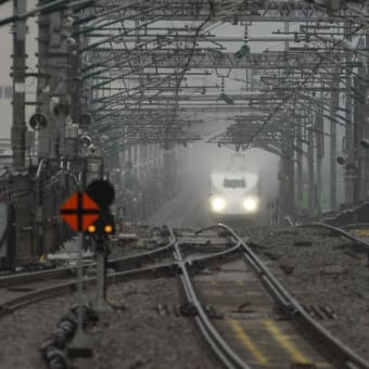 雨の日デビュー