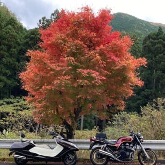 あれっ？こんなけしか乗ってないの・・・