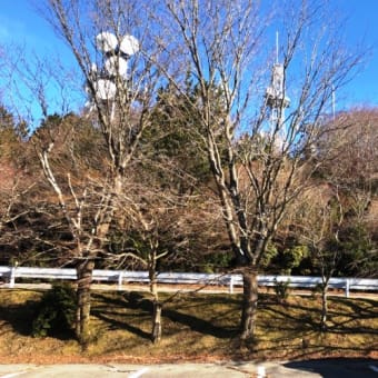 あけましておめでとうございます②