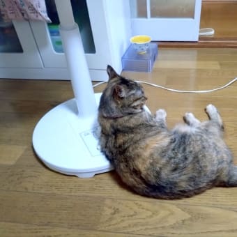 UFOに乗っていたかも！
