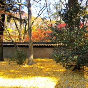 京の紅葉