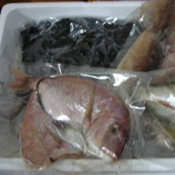 オカン吉映帰るのが楽しみの巻