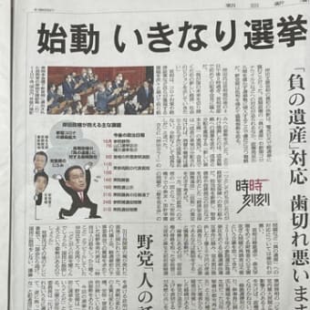 解散総選挙のあり方はこれで良いのか？