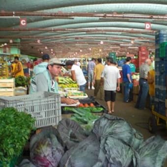 郊外の野菜卸市場訪問　（移民取材活動）
