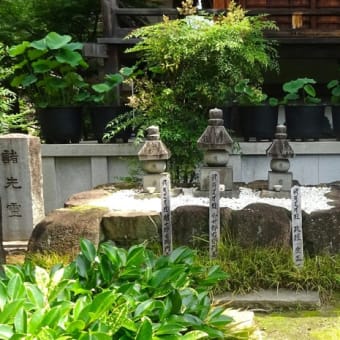 愛知県一宮市常念寺の紫陽花の花手水