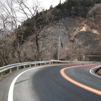 都民の森(22回目)～鶴峠～甲武トンネル