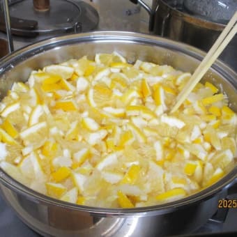 畑はお休み「 マーマレード」作り。🍋