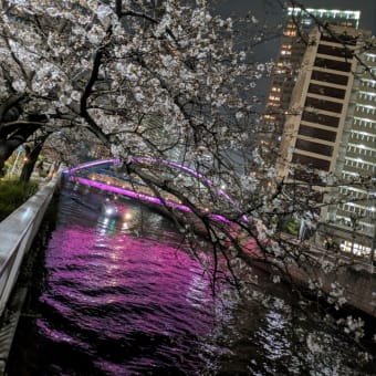 今日いち-2025年3月27日
