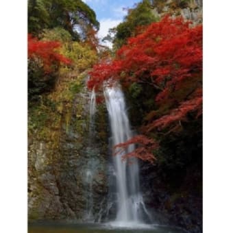 大阪・箕面の自然を楽しむ旅　人気の観光スポット