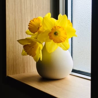 花瓶を買いました。