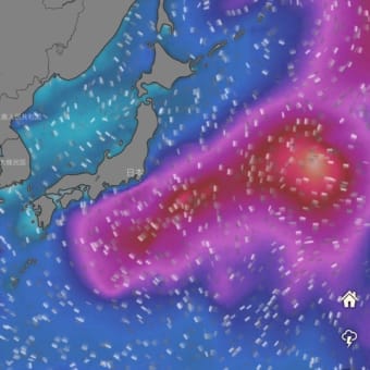 2020.9/25-27, 9/28-30 御蔵島ドルフィンツアー 台風12,13号のため中止