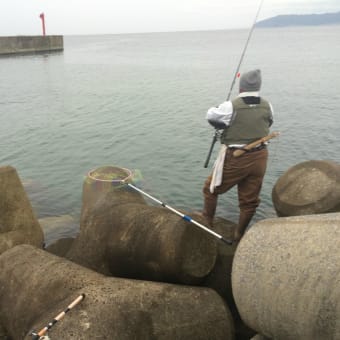 2016年　サケ釣りスタート！（道南支部からの報告）