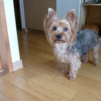 方針、変えました