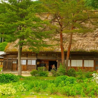 ６月の４枚【春の白川郷】