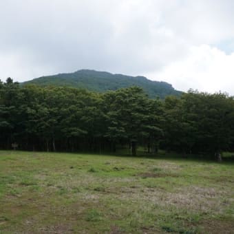 祖母山へ　オオヤマレンゲ鑑賞登山