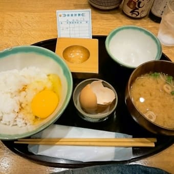 きちゃってます