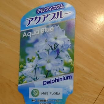 購入苗の紹介
