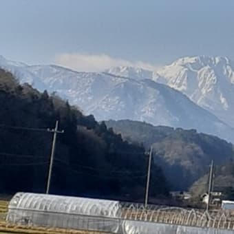 食料品消費税０