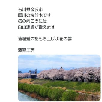 NHK俳句テキスト７月号～季語観察クラブ