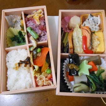 50品目バラエティー弁当