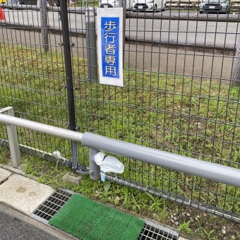 虫刺され後の穴が大きい　と稲村ケ岳へ