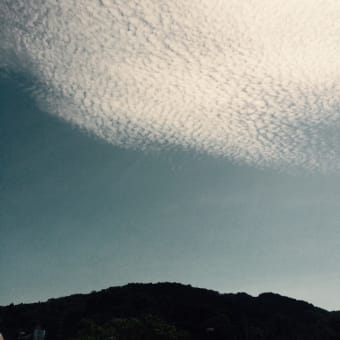 秋日和
