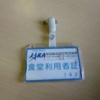 １５/水