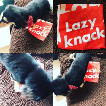Lazy knack  グッツ
