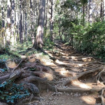 日和田山へ