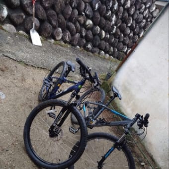 自転車