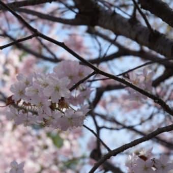 2025年5月のおしらせ