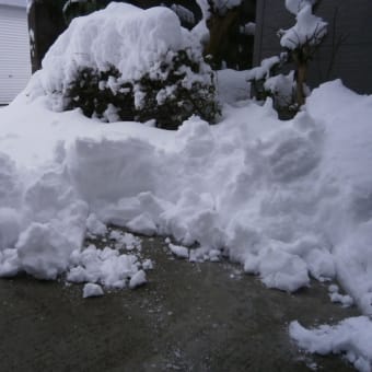 積雪35cm
