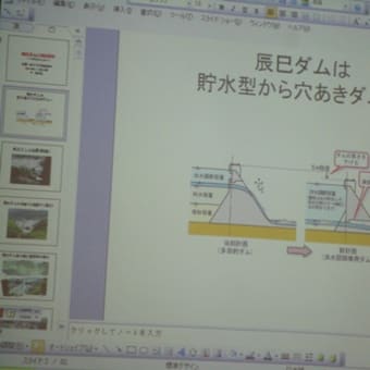 辰巳ダムをめぐる裁判