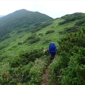 ヌカビラ岳・北戸蔦別岳・1967峰　2014年7月17日～7月18日