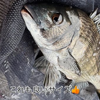 Googleブログ