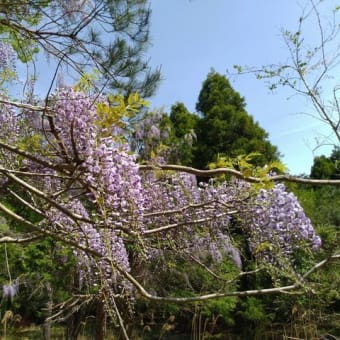 2025-05-29 Photo