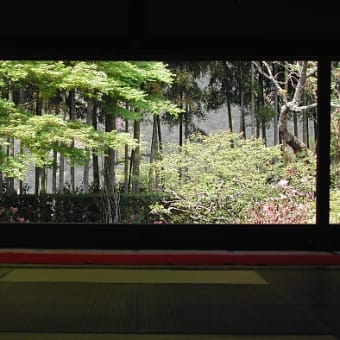 京都・宝泉院