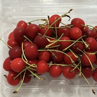 「命」を取り扱っています。