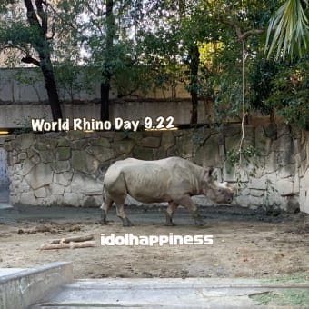 World Rhino Day 9.22