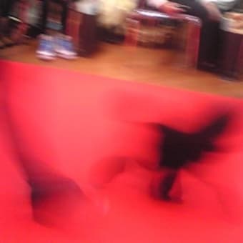 トゥーランドットを歌うトリマーのお仕事観