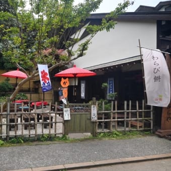 【江ノ島神社】江ノ島にモトブログ、島を散策！待っていたのは龍！