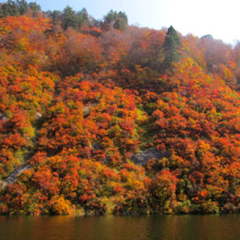 秘境奥利根湖の紅葉が見頃になりました。