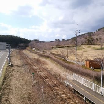 御所の台ふれあいパーク桜開花状況（H29.4.12）