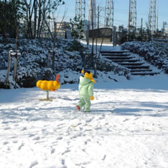 雪をみるとやっぱりテンション上がるな～