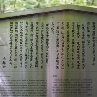 京都　青モミジ100シリーズと竹の寺地蔵院