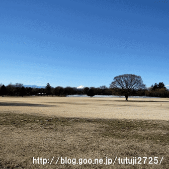 昭和記念公園　２０１１．１．１７
