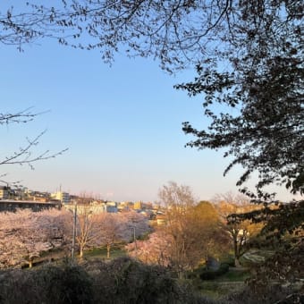 みんなで見上げる空＼(^^)／