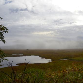 雲海、霧、青空、草紅葉の八島湿原を訪ね秋をガイドする。